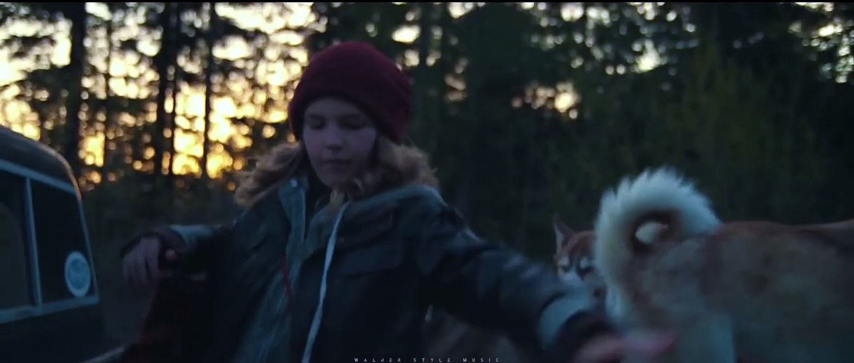 Alan Walker - You Need To Know _ New Song 2024 (Official Video)