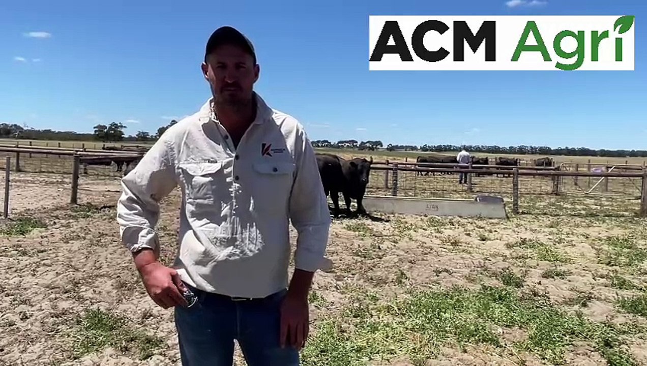 Beef Week Day 4 at Keringa - Feb 6 - Stock Journal