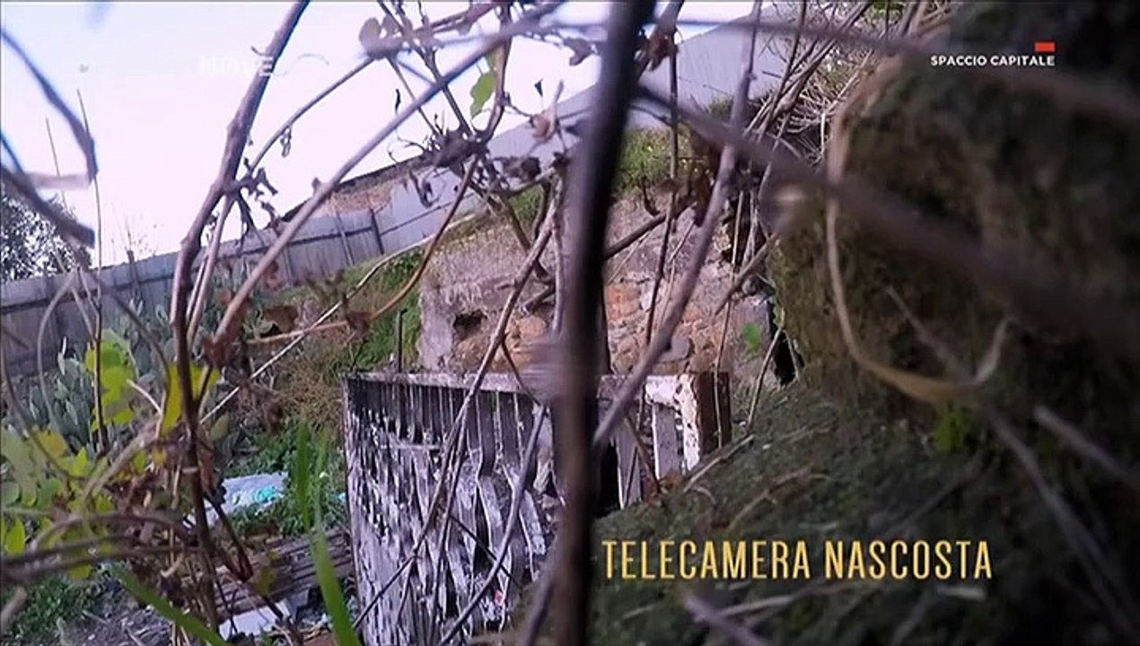 CARABINIERI - Spaccio Capitale