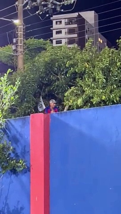 Torcedores se "aventuram" em árvore para assistir jogo do Marcílio Dias