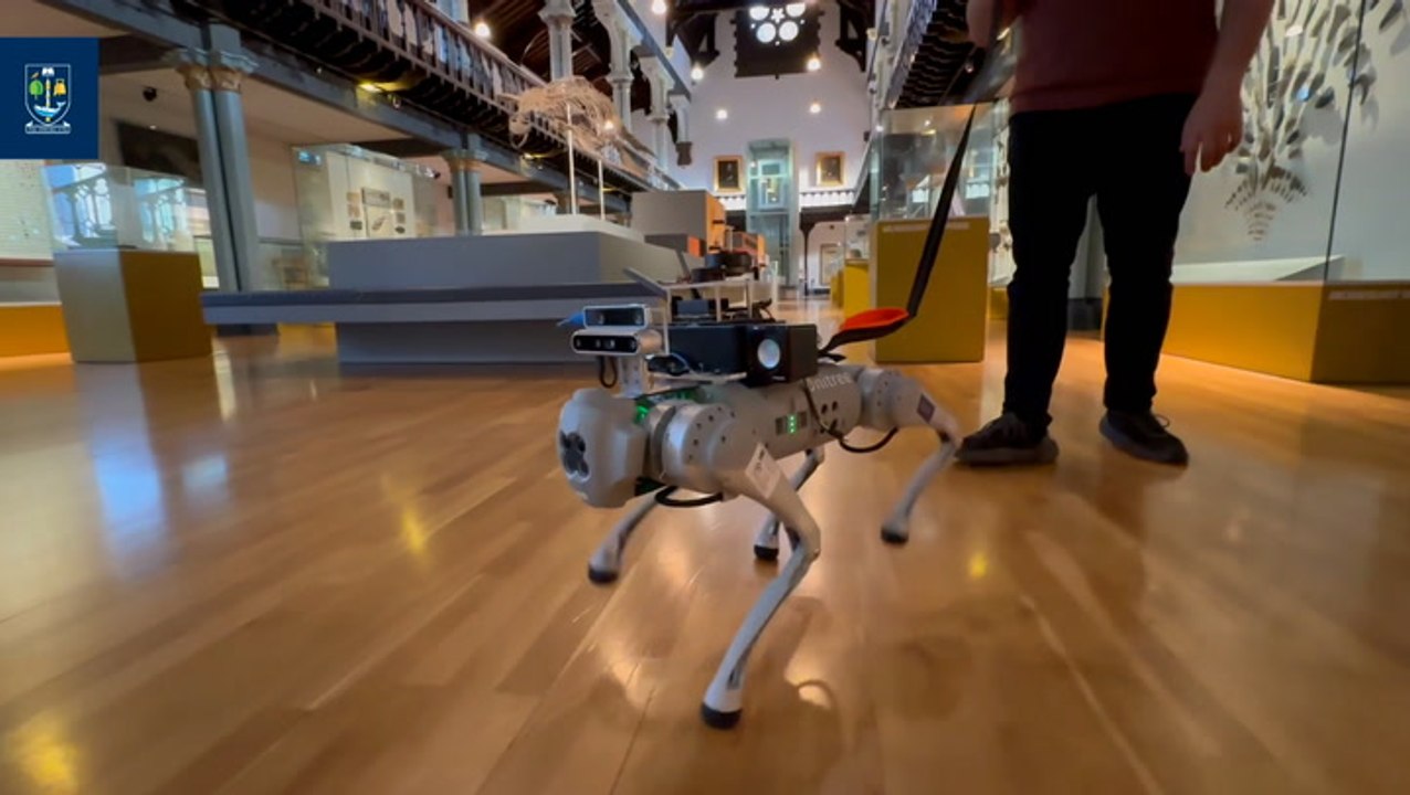 Robot dog powered by AI developed to guide visually impaired people