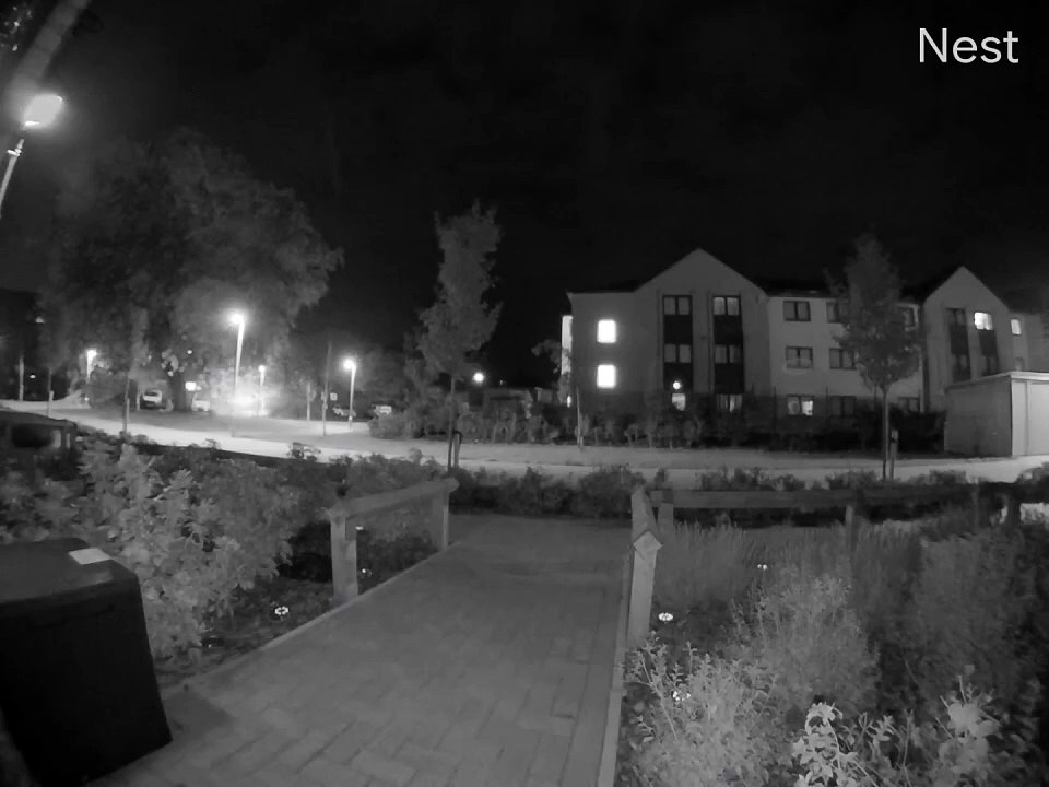 Petrol bombing of Huntingdon Police Station