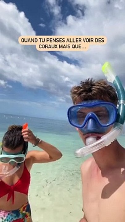 Rencontre fortuite avec le plus grand poisson des océans 