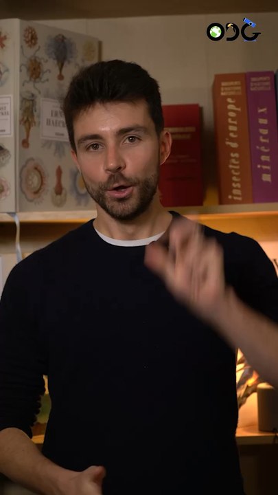 3 actions simples pour le climat 