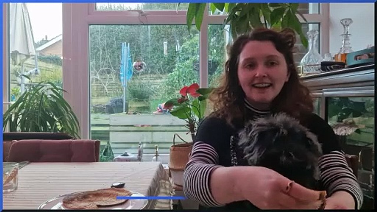 How to make pancakes for dogs