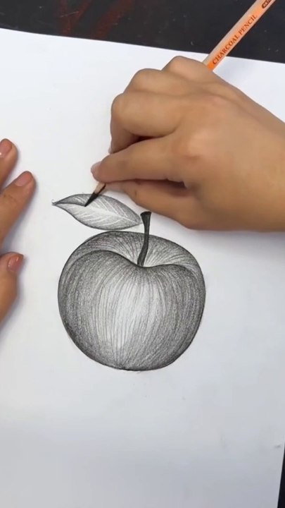 Realistic Apple pencil Art For beginners