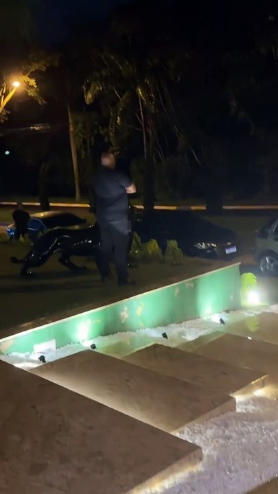 Após tentativa de assalto, MC Ryan SP exibe seguranças armados em frente a sua mansão; confira