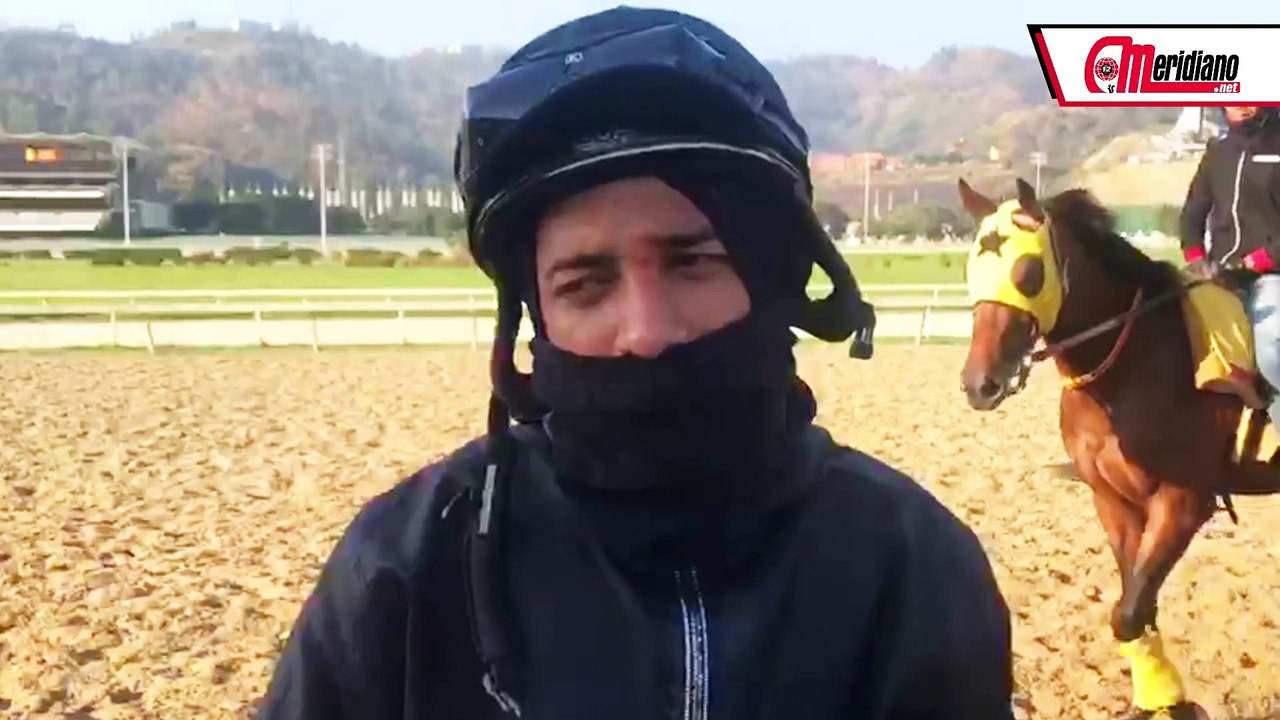 Hipismo: Maykor Ibarra, Jinete.