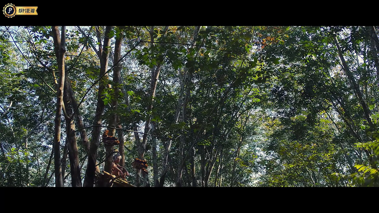 蛇灾：蛇岛惊魂（2022）完整版1080p