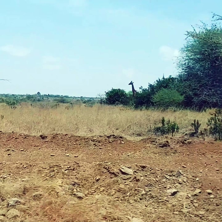 viral natural video | nature videography