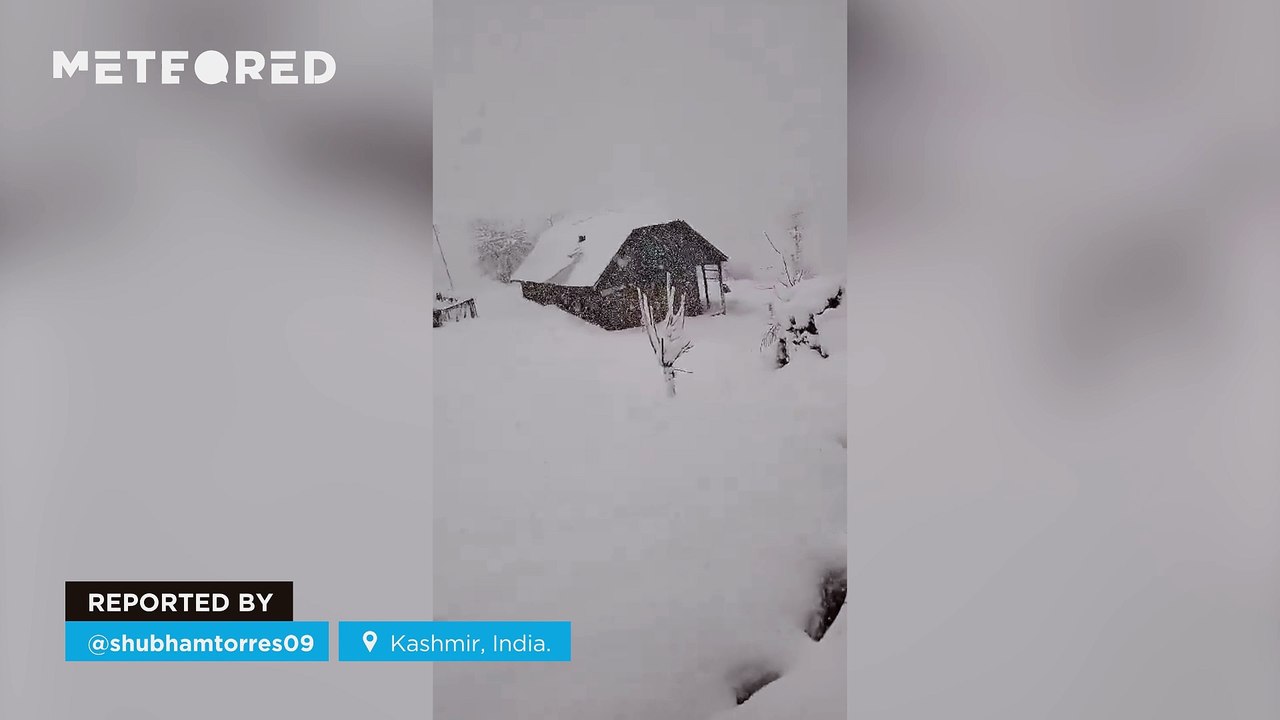 Impressive snowfall in Kashmir, India.