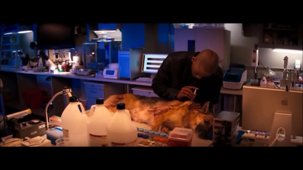 'Soy Leyenda', escena de la película con Will Smith