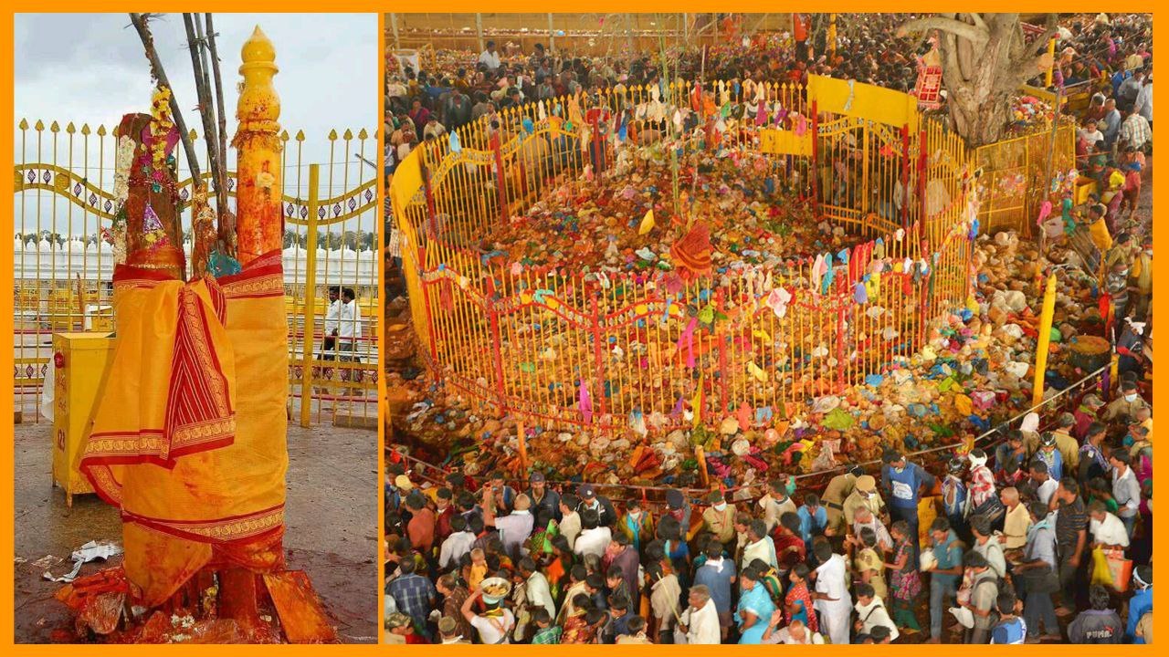 Medaaram Sammakka Saaralamma విశిష్టత,  చరిత్ర..! | Telugu Oneindia