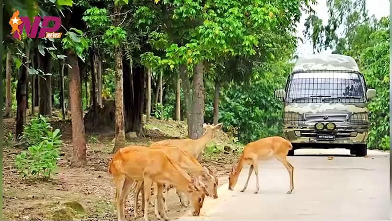 ပြည်တွင်းနှင့် ပြည်ပက ၂၄ နာရီအတွင်း စိတ်ဝင်စားဖွယ်သတင်းများ