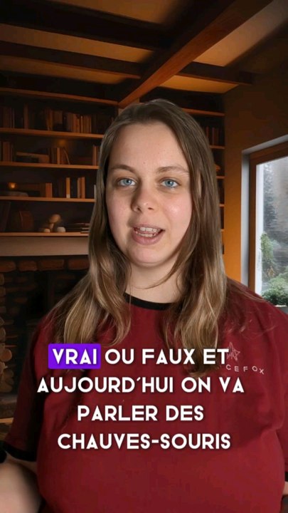 vrai ou faux sur les chauves-souris