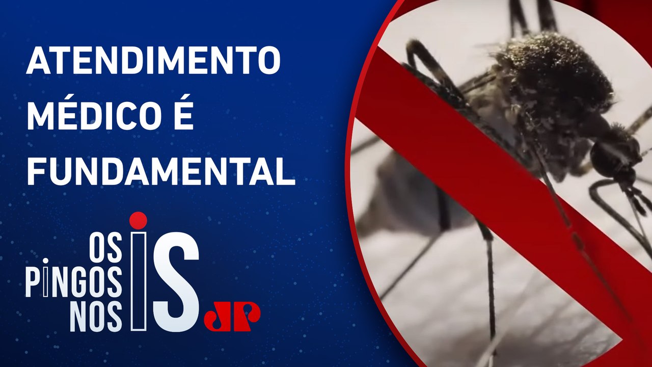 Quais os principais sintomas da dengue?