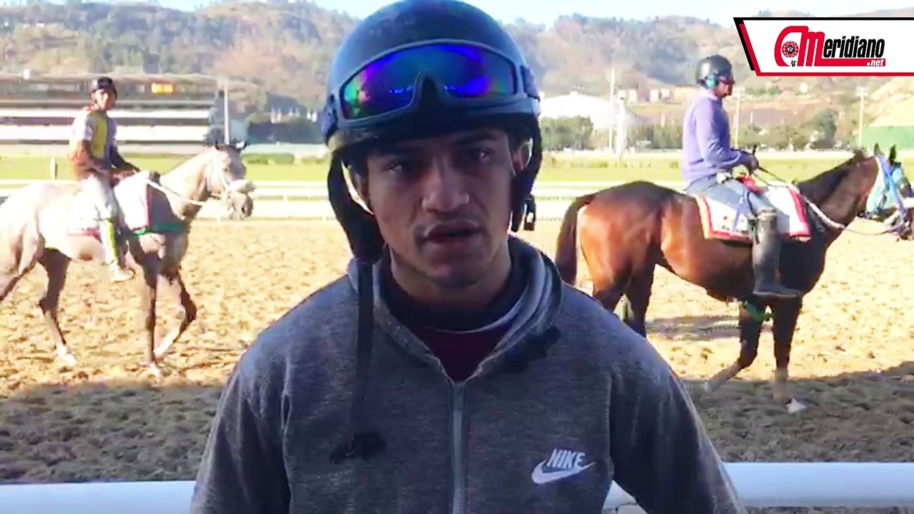 Hipismo: Kevin Aray, Jinete.