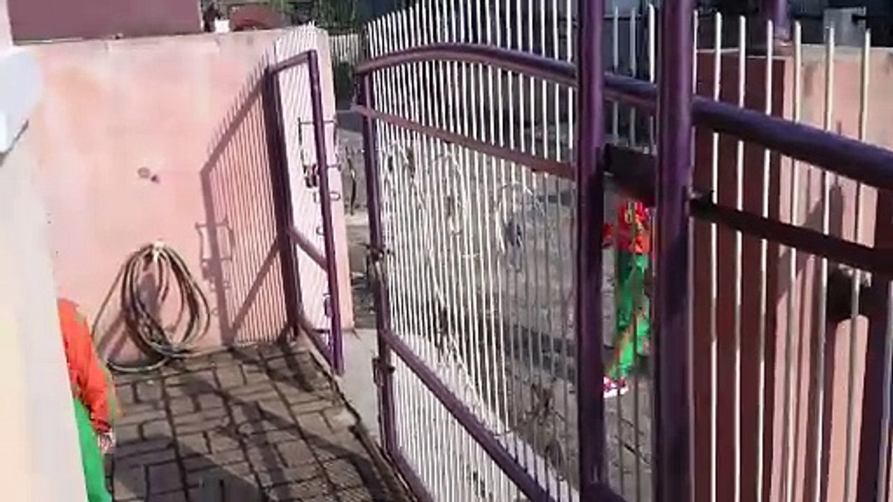 About to go to school