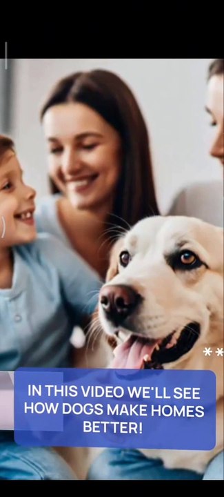 The Incredible Impact of Dogs on Our Lives 🐶