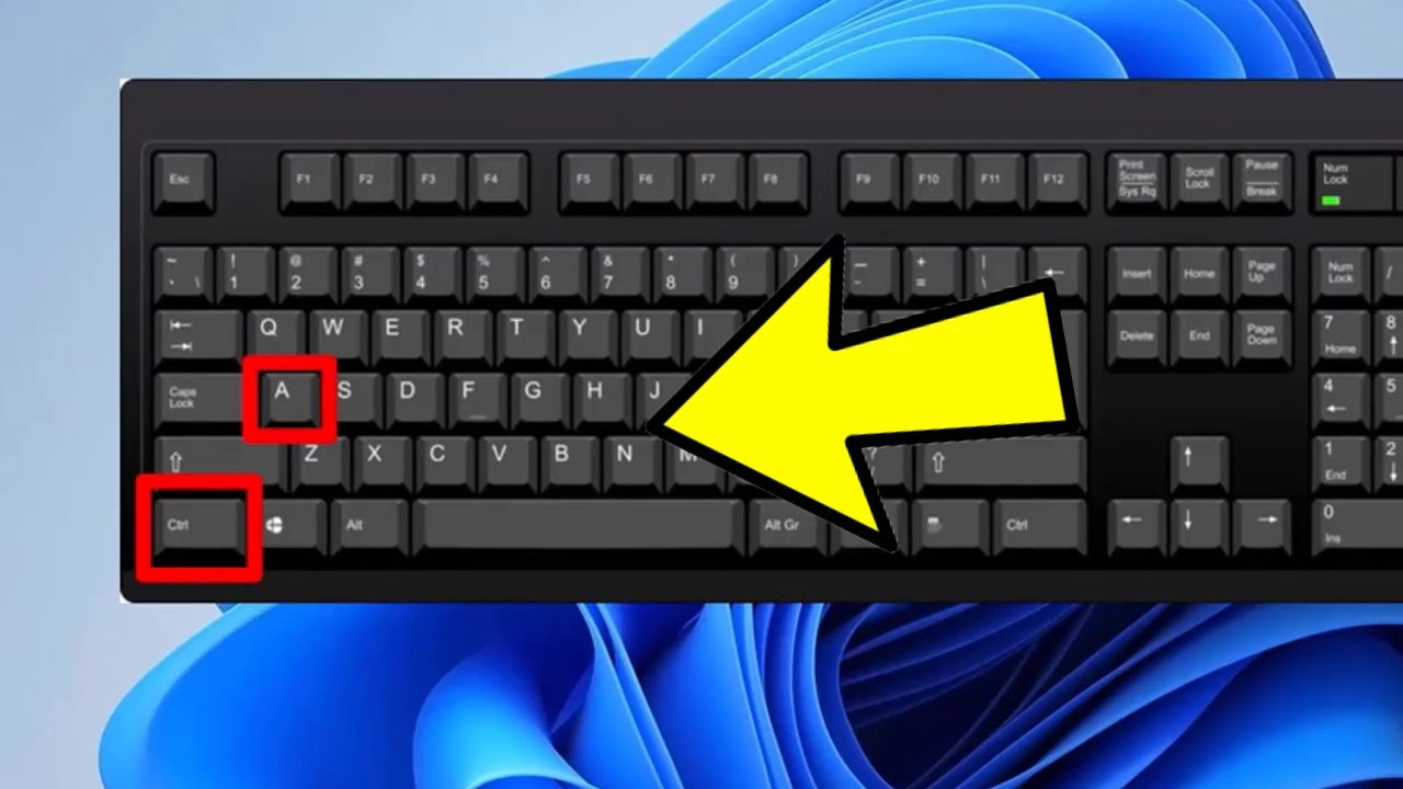 How to Fix (Ctrl A ) , (Ctrl C) and (Ctrl V) Not Working in Windows 11 / 10