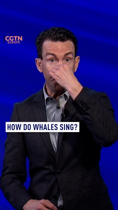 How do whales sing?