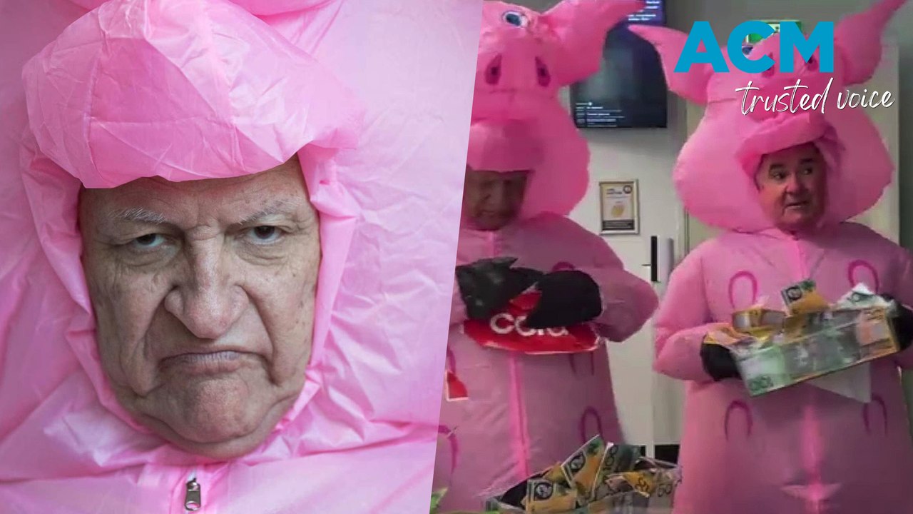 Pollies go 'hog wild' in bizarre pig suit protest