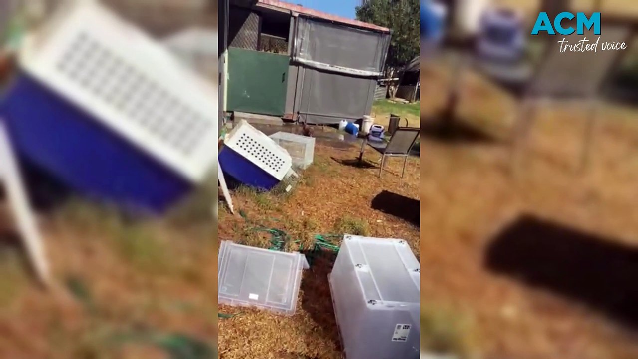 Tidal wave of sewerage swamps Lavington home