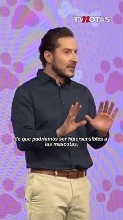 ¿Alérgico a los perritos y gatitos?