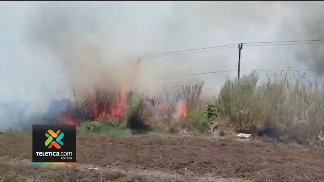 tn7-incendio-general-cañas-290224