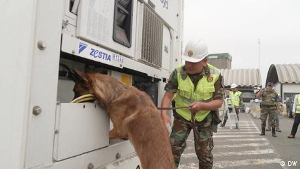 Germany seeks coordinated action against cocaine trafficking