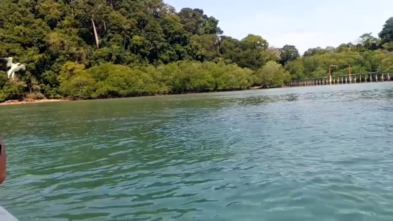 nature #beauty of Nature #nature #naturevibes