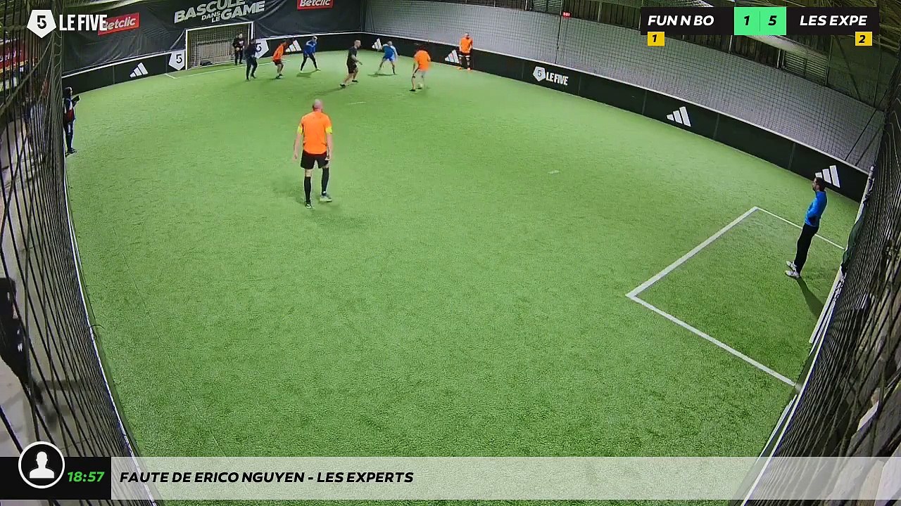 Faute de Erico NGUYEn - LES EXPERTS