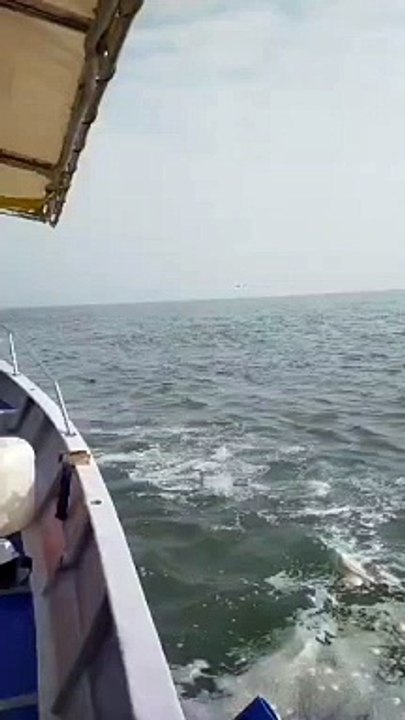 海事执法机构1直升机坠机！ 4人被渔民救起