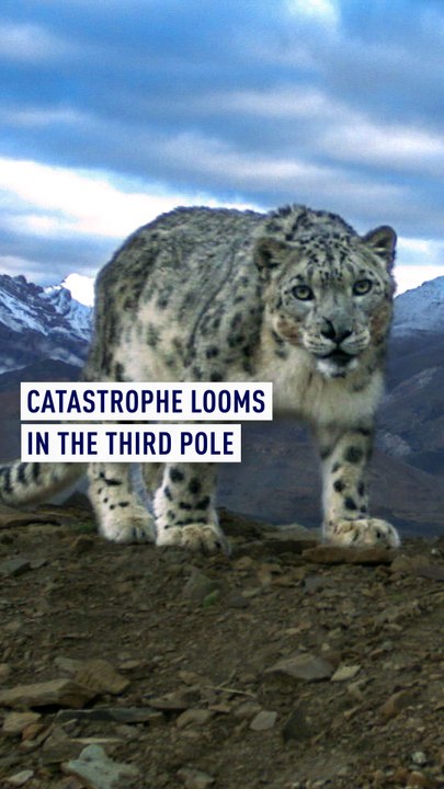 Catastrophe looms in the third pole