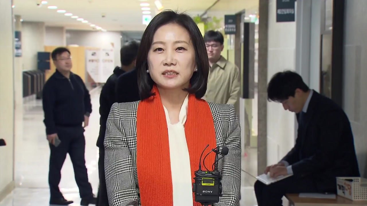 개혁신당, 서울 영등포갑에 허은아 전략공천 / YTN