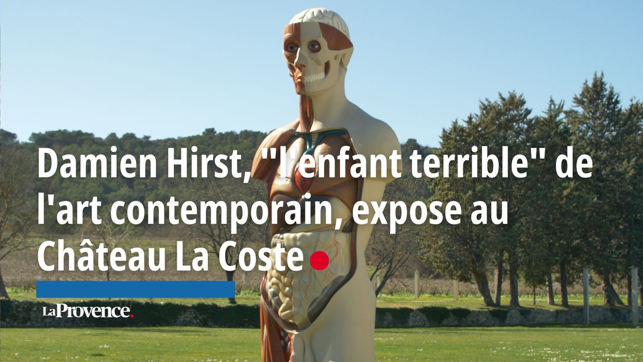 Damien Hirst, "l'enfant terrible" de l'art contemporain, expose au Château La Coste