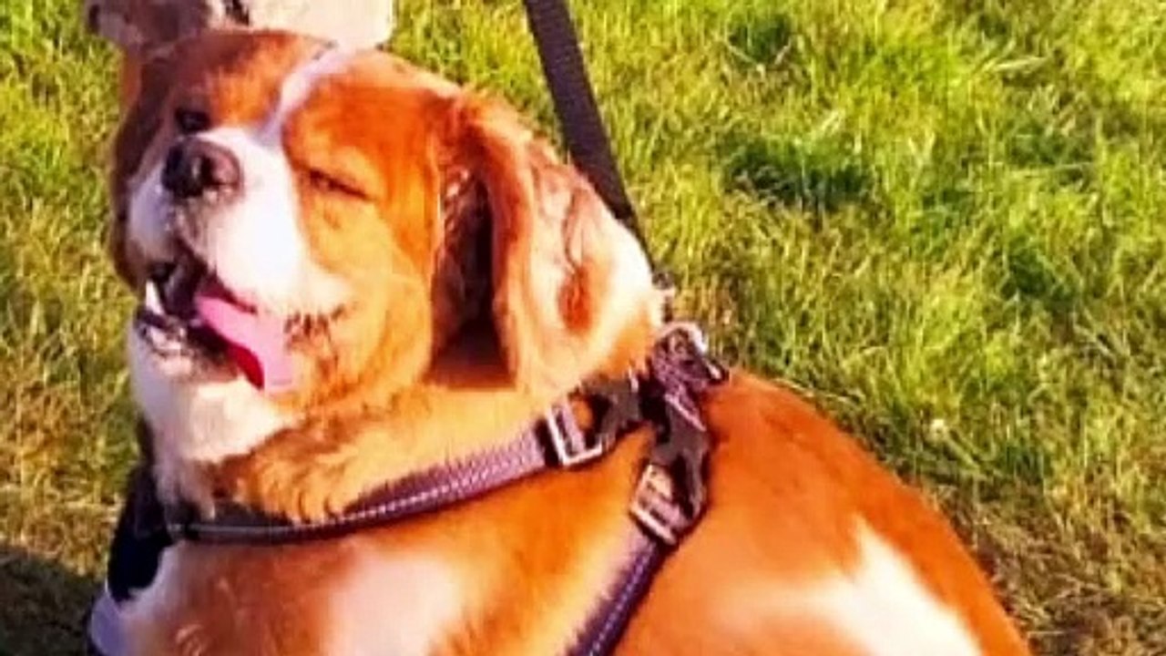 Your Daily North West News Update 📰