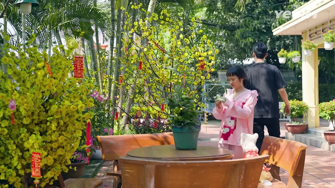 Mua Táo Chưng Tết Còn Được LÌ XÌ KẼM Phen Này Gieo QUẢ TÁO Mà Gặt Lại QUẢ BÁO - Anh Áo Đen 478