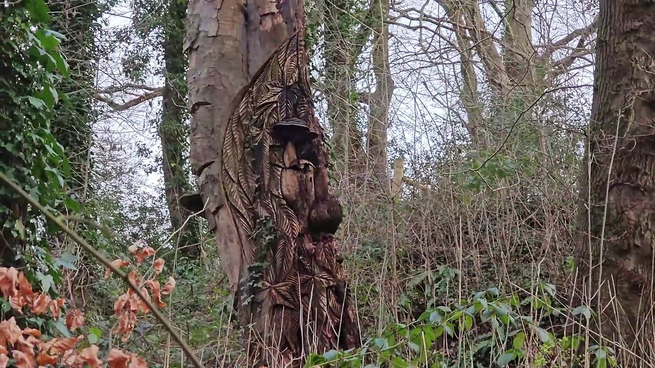 We visit a beautiful woodland with stunning views and an industrial heritage