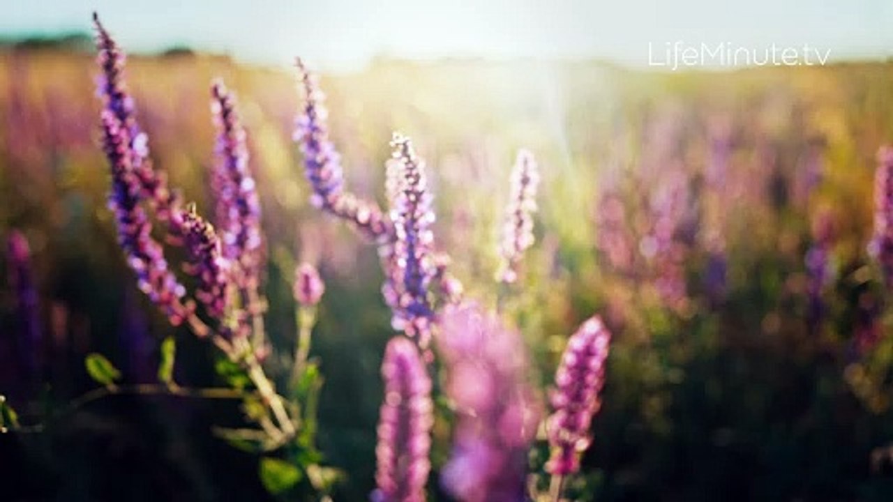 3 Must-Haves for Spring