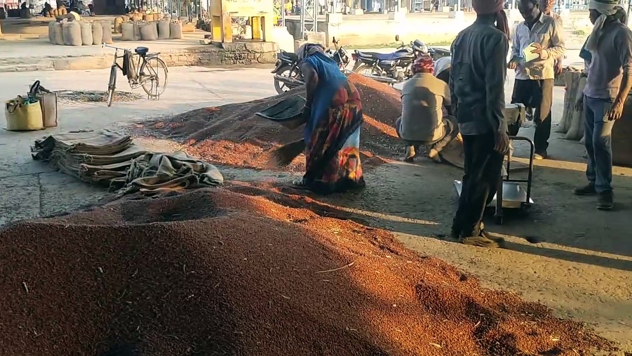 news in satna mandi mp