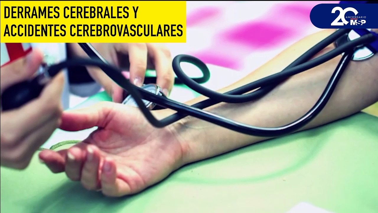 ¿Cómo funciona el cerebro? - #ExclusivoMSP