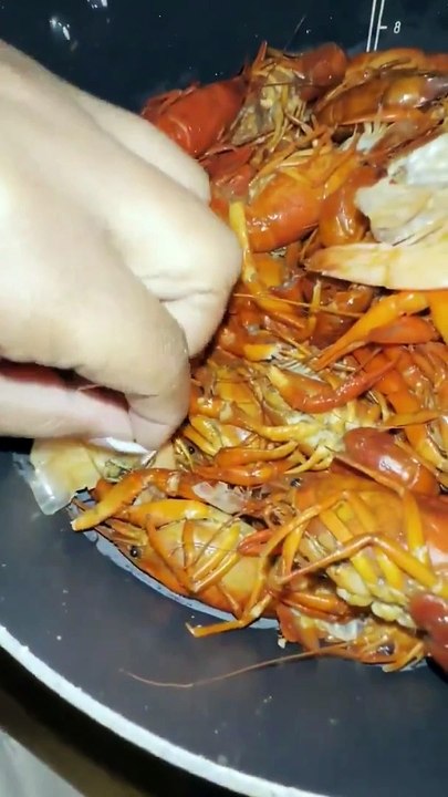 Family Discovers Spiders in Seafood Boil at Local Restaurant 🕷️