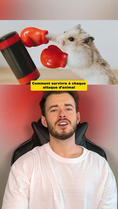 Comment survivre à chaque attaque d’animal 