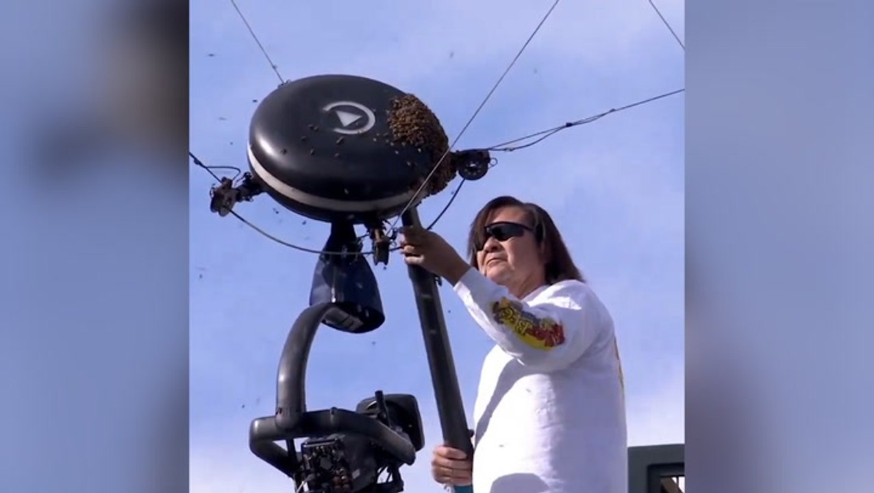 Indian Wells: Unprotected man casually hoovers up hundreds of bees after swarm takes over court