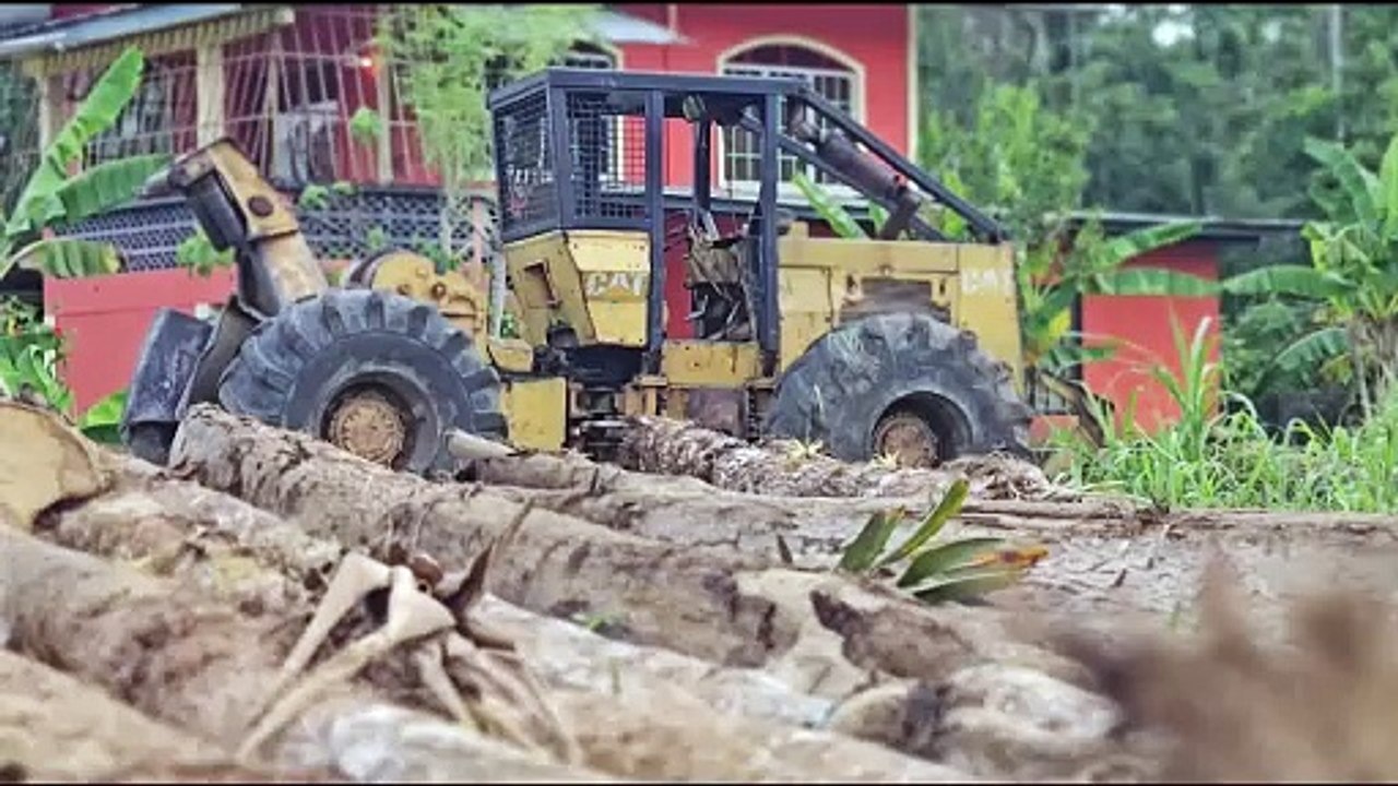 FATAL LOGGING ACCIDENT