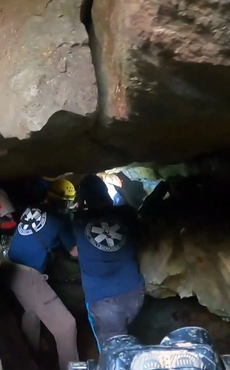 Cão resgatado de gruta