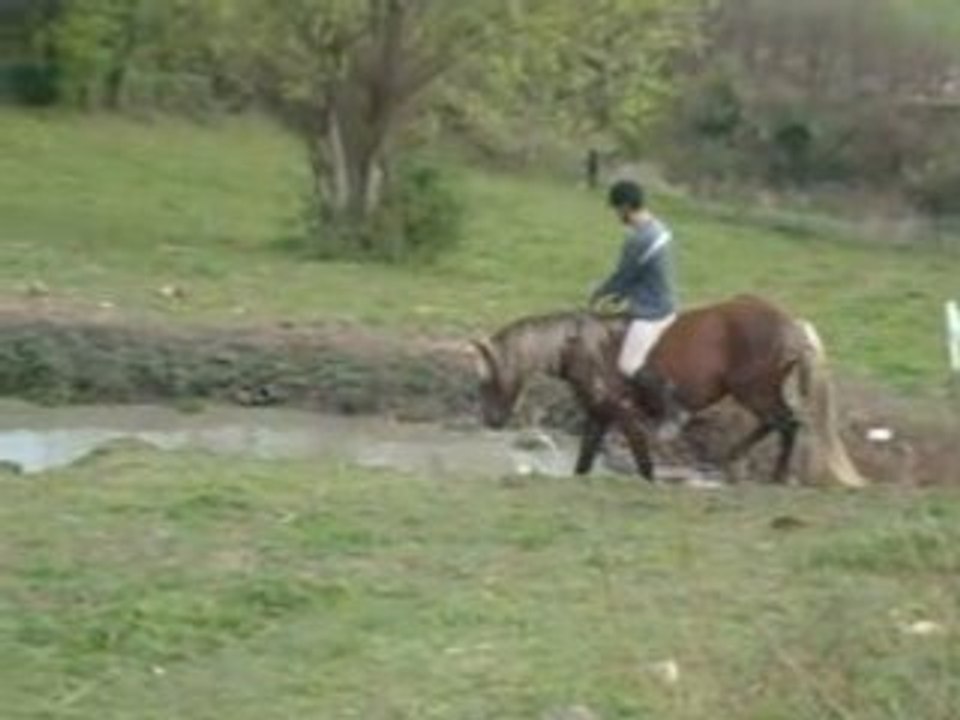 FS Gué: Essential Guide