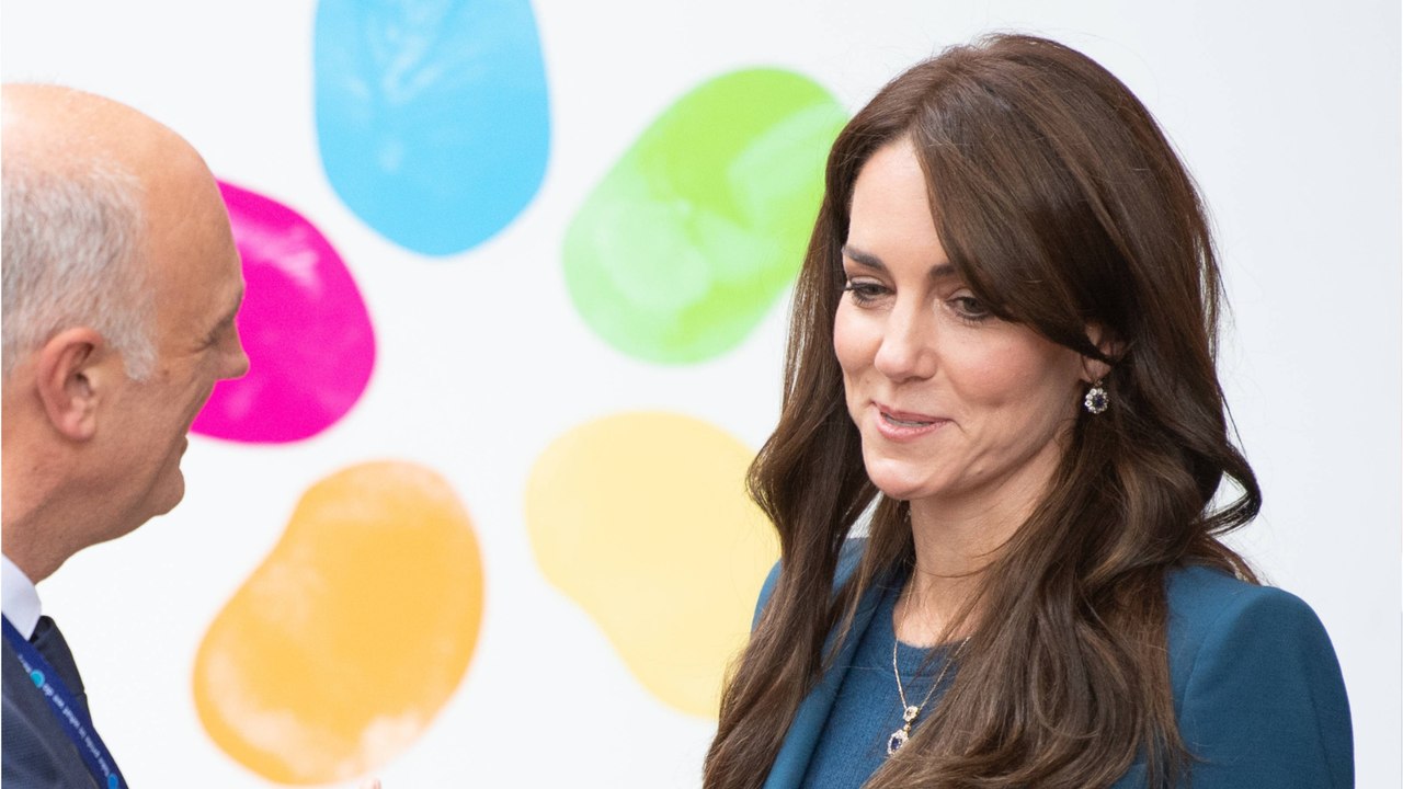 Ongoing Investigation into Kate's Medical Record Breach