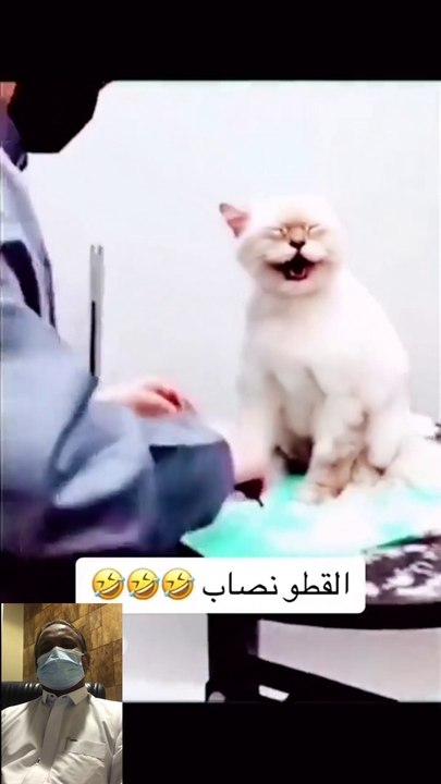 funny short video smile